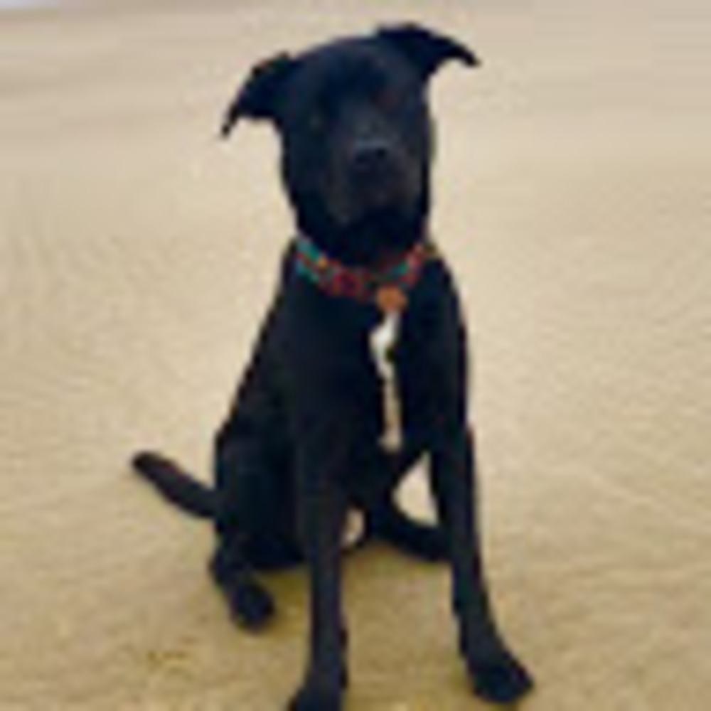 Meet your Posher, Alexandra